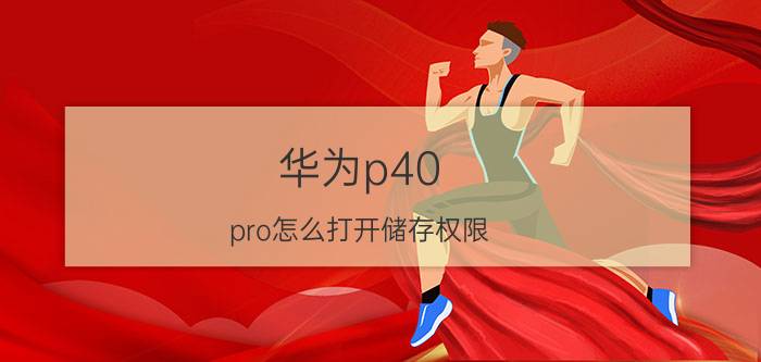 华为p40 pro怎么打开储存权限 华为p40pro怎么开启存储权限？